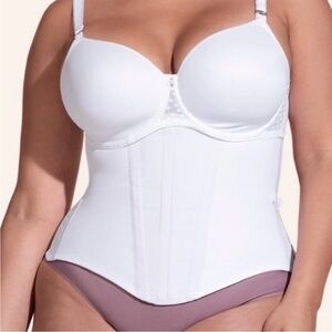 Honeylove WaistHero Cincher Sculptwear